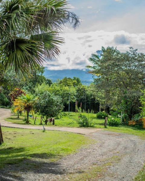 Linda Casa De Verano Con Amplias Zonas Verdes San Isidro De El General Exterior foto